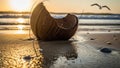Coconut Shell on Sandy Beach at Sunset with Seagull in the Distance Royalty Free Stock Photo
