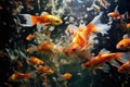 A captivating image showcasing a group of goldfish gracefully swimming in an aquarium., River pond decorative orange underwater