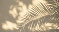 Textured Beige Wall with Palm Leaf Shadows Tropical Summer Background Sunlight Overlay AI generated. Royalty Free Stock Photo