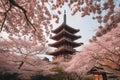 Blossoms of Kyoto: Embracing the Sakura Season