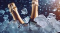 Captivating image of two champagne bottles in an ice bucket, frozen motion of flying ice cubes Royalty Free Stock Photo