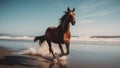 Equine Elegance: Wild Horse Running on the Beach at Sunset Royalty Free Stock Photo