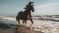 Majestic Horse Galloping on Seashore: Wild and Free Royalty Free Stock Photo