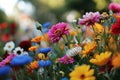 A captivating landscape of colorful flowers, surrounded by lush grass and dotted with petals. A busy bee love to dance Royalty Free Stock Photo