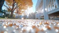 Autumn park path reflections modern building Royalty Free Stock Photo