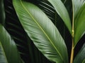 Captivating Macro Photography of a Vibrant Tropical Leaf.AI Generated