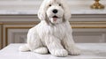 A captivating marble bust featuring a shaggy golden doodle.