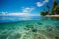 Captivating marine life underwater and overwater beauty on a sunny summer day with beach and sky Royalty Free Stock Photo