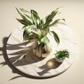Captivating Minimalist Tropical Draconian in White Stone Vase: A Luxurious Organic Background for Healthy Food and Drinks, with Royalty Free Stock Photo
