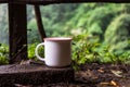 The mockup highlights the beauty of a white blank mug, skillfully arranged in the serenity of nature, offering a versatile display