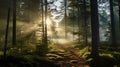 Captivating Morning Sunshine On Forest Trail: Mikko Lagerstedt Inspired Uhd Image