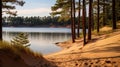 Tranquil Serenity: Pine Trees And Sand Hills Near A Luminous Lake