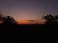 Tranquil sunset silhouette of a tree in nature with orange sky