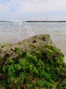 Captivating Ocean Waves Crashing on a Coral Reef Royalty Free Stock Photo