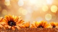 Captivating orange sunflower on enchanted bokeh background with text space on left side Royalty Free Stock Photo