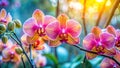 A Captivating Orchid Garden Display A Tranquil Spring or Winter Scene Perfect for a Postcard Featuring Delicate Royalty Free Stock Photo