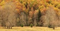 Captivating Ordesa National Park in Autumn: A Breathtaking Spectacle of Colors in Torla, Spain Royalty Free Stock Photo