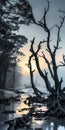 Ethereal Images Of Misty Beaches And Burned Trees