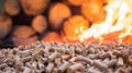 Fiery Ambiance: Wood Pellets Kindling Warmth