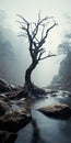 Ethereal Tree And River: Haunting Post-apocalyptic Uhd Image
