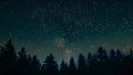 A captivating photo featuring a night sky filled with countless stars shining above a forest of tall trees, A blanket of stars