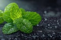 A captivating photo showcasing fresh mint leaves adorned with glistening water droplets, placed on a sleek black surface, A