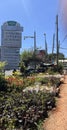 Nature's Corner: Roadside Sale of Seedlings and Flowers in Lavington, Nairobi