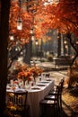 Enchanting Autumn Splendor: Vibrant Forest of Deciduous Trees Illuminated by Warm Sunlight