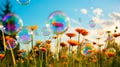 Enchanting Rainbow Bubbles Dancing in Lush Meadow Royalty Free Stock Photo