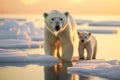 Playful Polar Bear Family in Arctic Dusk
