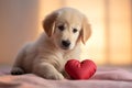 Enthusiastic Golden Retriever Puppy Playing with Heart-Shaped Toy