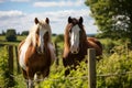 Tranquil Morning Bliss: Majestic Horses Grazing in Idyllic Countryside