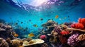 Colorful Tropical Fish and Vibrant Coral Reef Ecosystem Royalty Free Stock Photo
