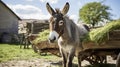 Rustic Charm: Serene Donkey Pulling Hay-Filled Cart in a Picturesque Farmyard