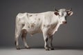 Ai Generative Portrait of a white cow with horns on a dark gray background