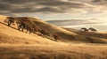 Captivating Prairie Photograph: Light Beige Fence On The Hill