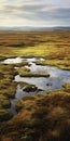 Captivating Real Photos Show Vast Scenery Of The Bog