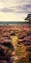 Captivating Real Photos Show Vastness Of Heath Scenery