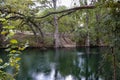 Raindrops on Blanco River with Lush Canopy of Trees in Wimberley Texas Royalty Free Stock Photo