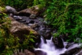 Andean estuary scene flowing between the rocks and stones in the middle of the leafy forest in a moment of pause in the ascent