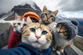 Group of stray cats in the mountains. Traveling with pets concept