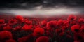 Stormy Skies Above a Field of Red Blossoms