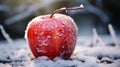 Frozen in Time: Red Apple Amidst a Blanket of Snow