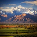 Captivating scene showcasing the vibrant spirit of Mendoza, Argentina