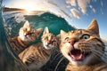 Three cats sitting on the edge of a wave and looking at the camera