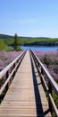 Captivating Scottish Landscapes: Lavender Petals In Acadia National Park