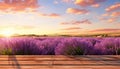 Captivating serenity in a lavender field a naturally stunning beauty for your podium backdrop
