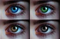 Collection. Heterochromia. Brown, Blue, Green, Hazel, Gray, Amber. close-up macro photography. Human eye. Woman Royalty Free Stock Photo