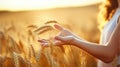 Captivating Shot of a Female Farmer\'s Hand in a Sun-Kissed Wheat Field. Generative AI