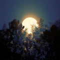 Captivating shot of full moon rising amidst lush green plants